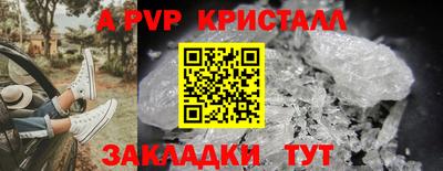 PSILOCYBIN Краснодар