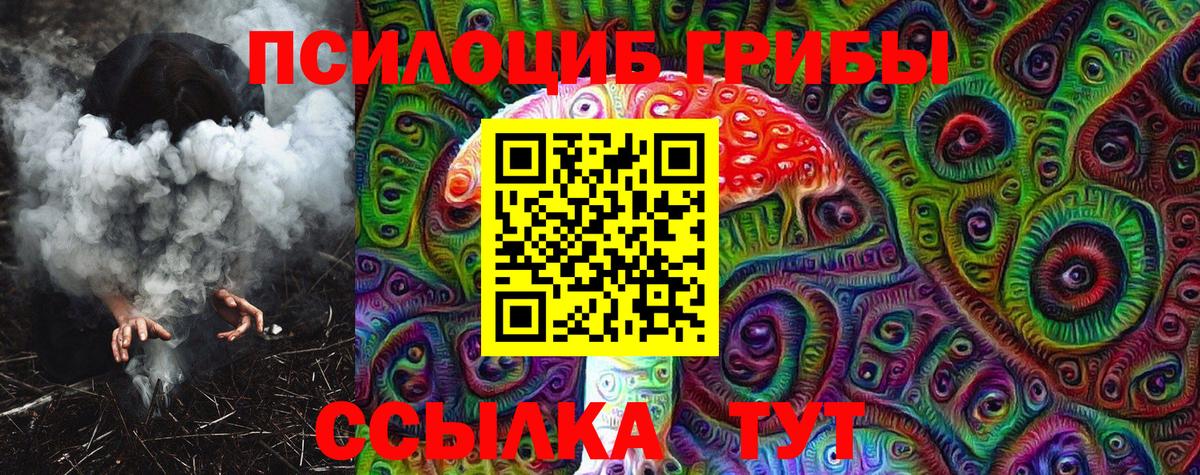 Галлюциногенные грибы Psilocybine cubensis Янаул